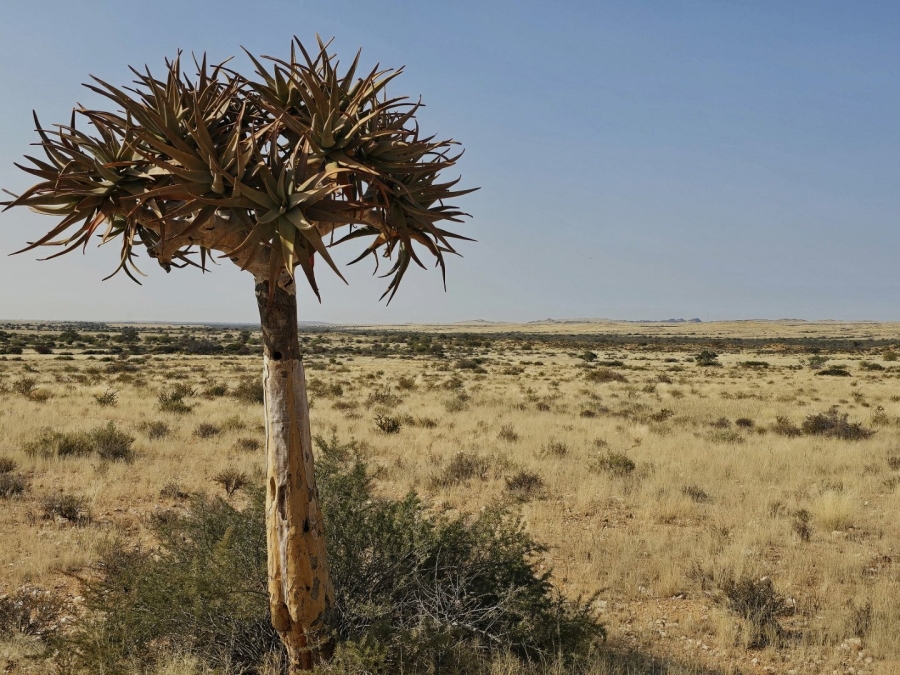 Commercial Property for Sale in Kenhardt Northern Cape